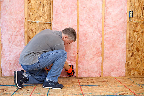 Best Insulation Installation Services in Franklin, KY