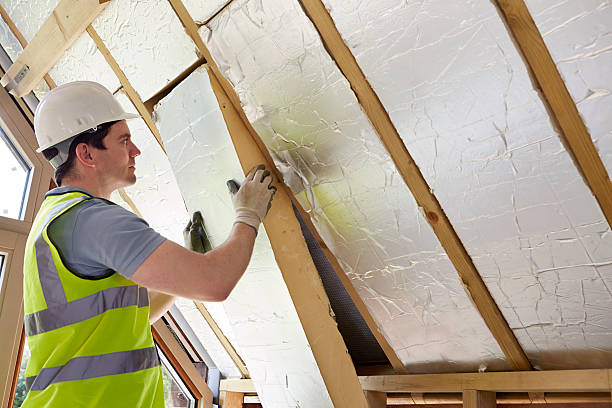 Best Insulation Installation Services in Franklin, KY