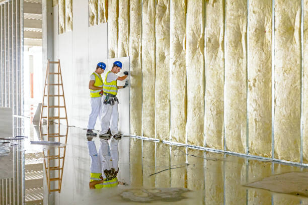 Best Types of Insulation in Franklin, KY